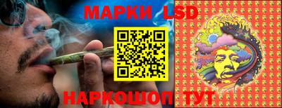 СК Краснознаменск