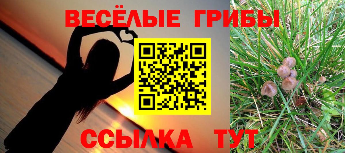 Псилоцибиновые грибы мухоморы Донской